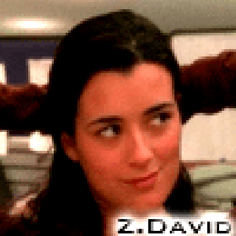 ncis namorný vyšetrovaci urad ziva david ziva10 1 gif